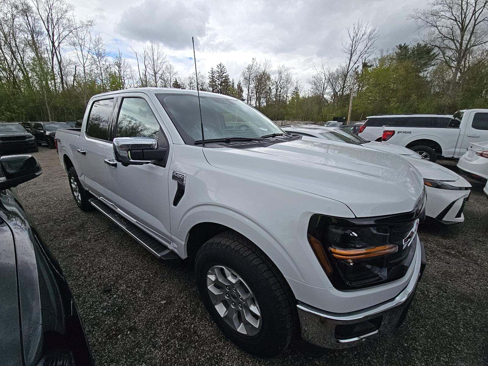 FORD F-150 - 4