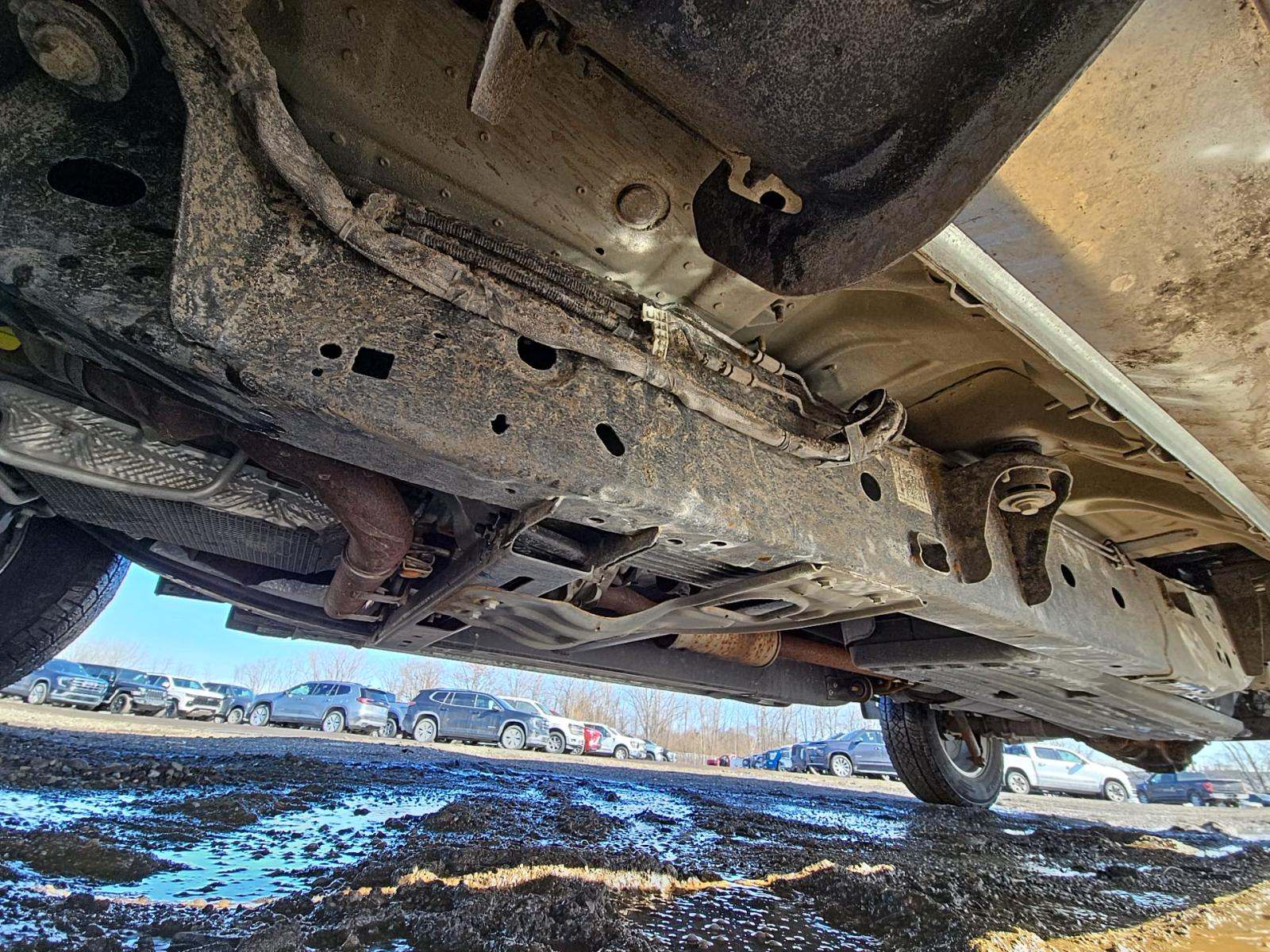 2025 Ford F-150 XLT AWD