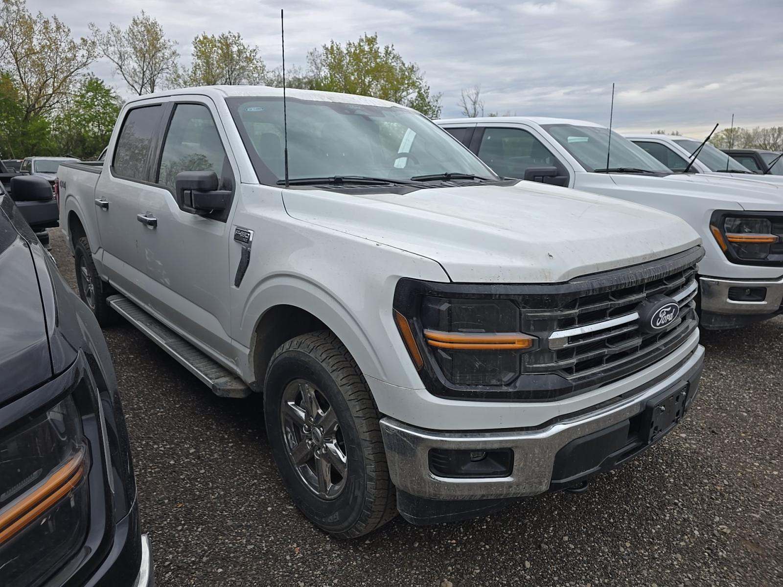 FORD F-150 - 4
