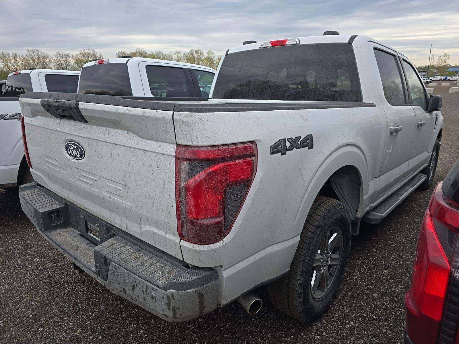 FORD F-150 - 3