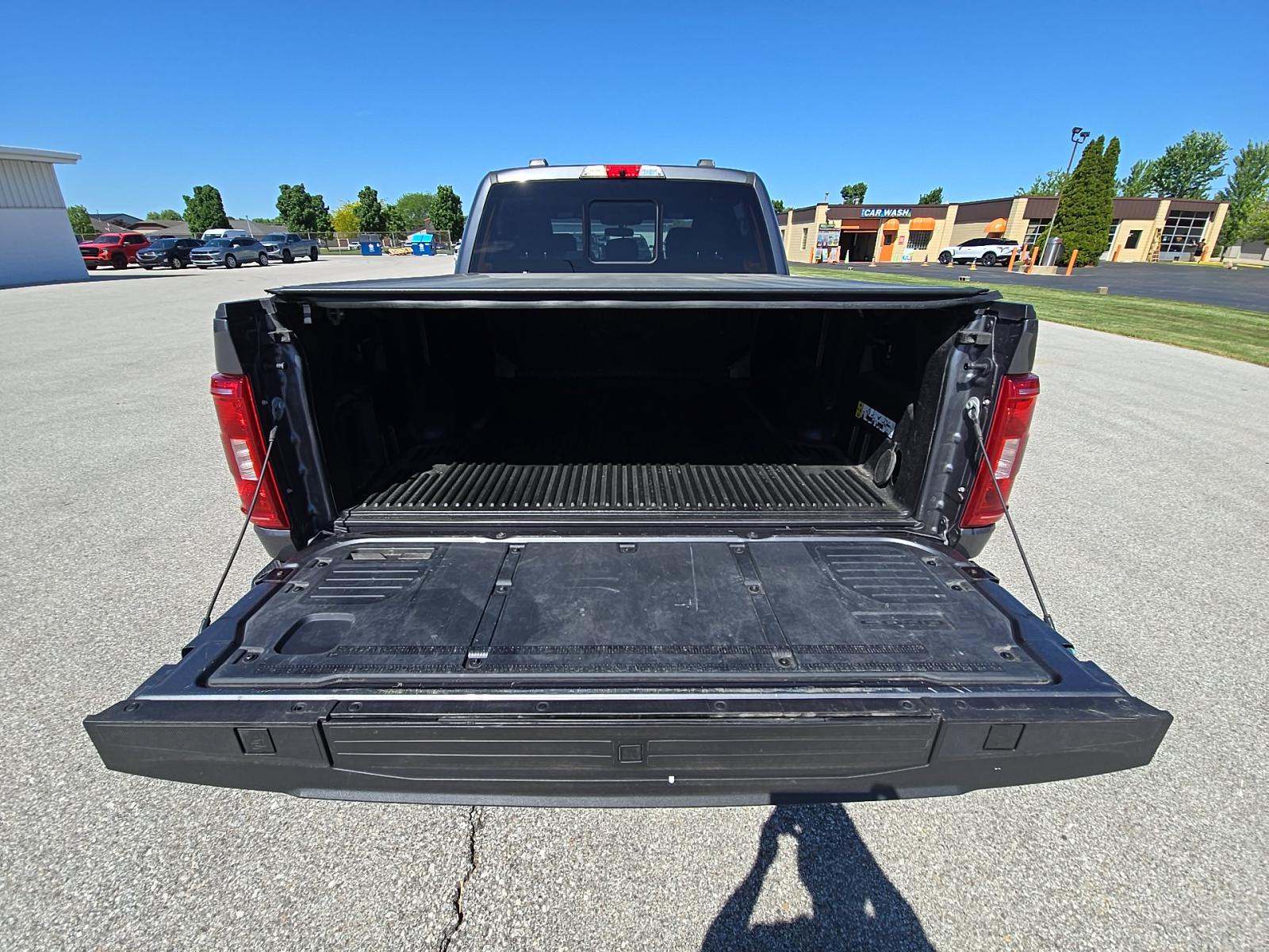 FORD F-150 - 10
