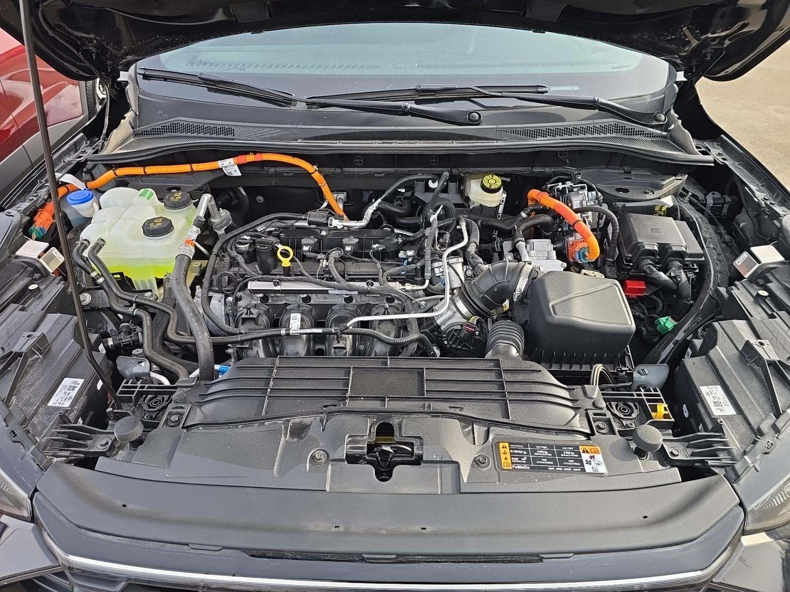 2024 Ford Escape Hybrid ST-Line Elite AWD