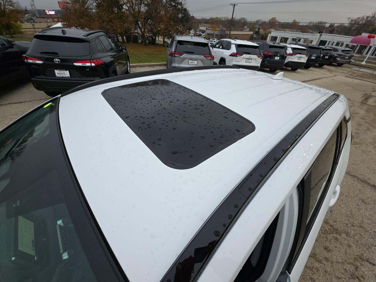 2025 Toyota RAV4 XLE AWD