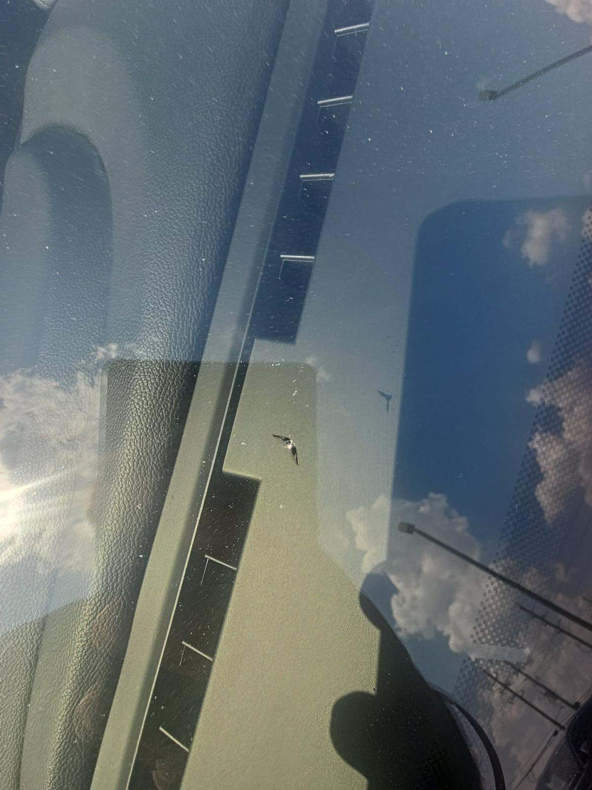 2017 Maserati Ghibli Base RWD