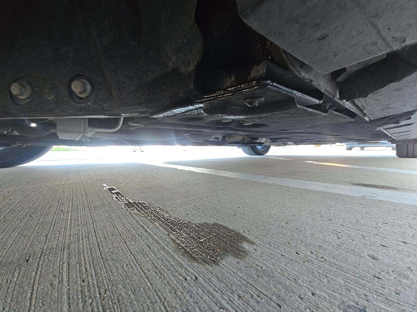 2024 Ford Mustang EcoBoost RWD