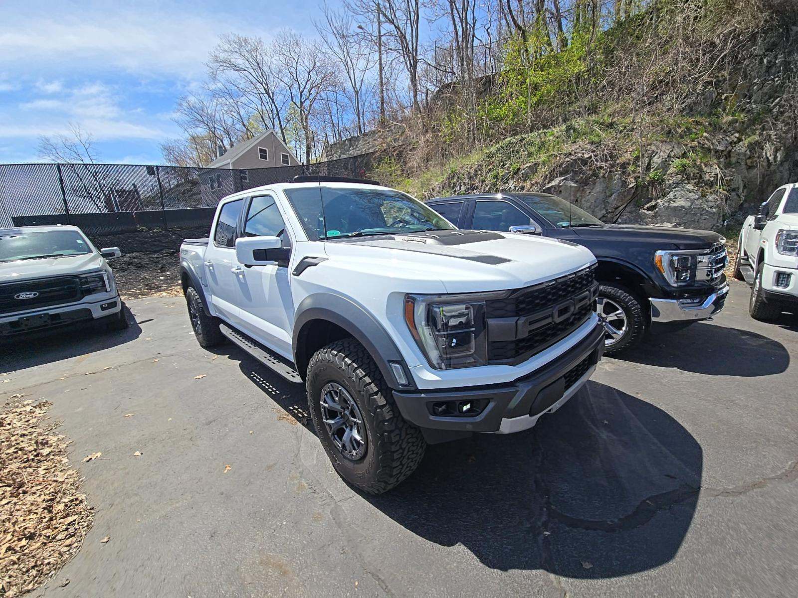 FORD F-150 - 4