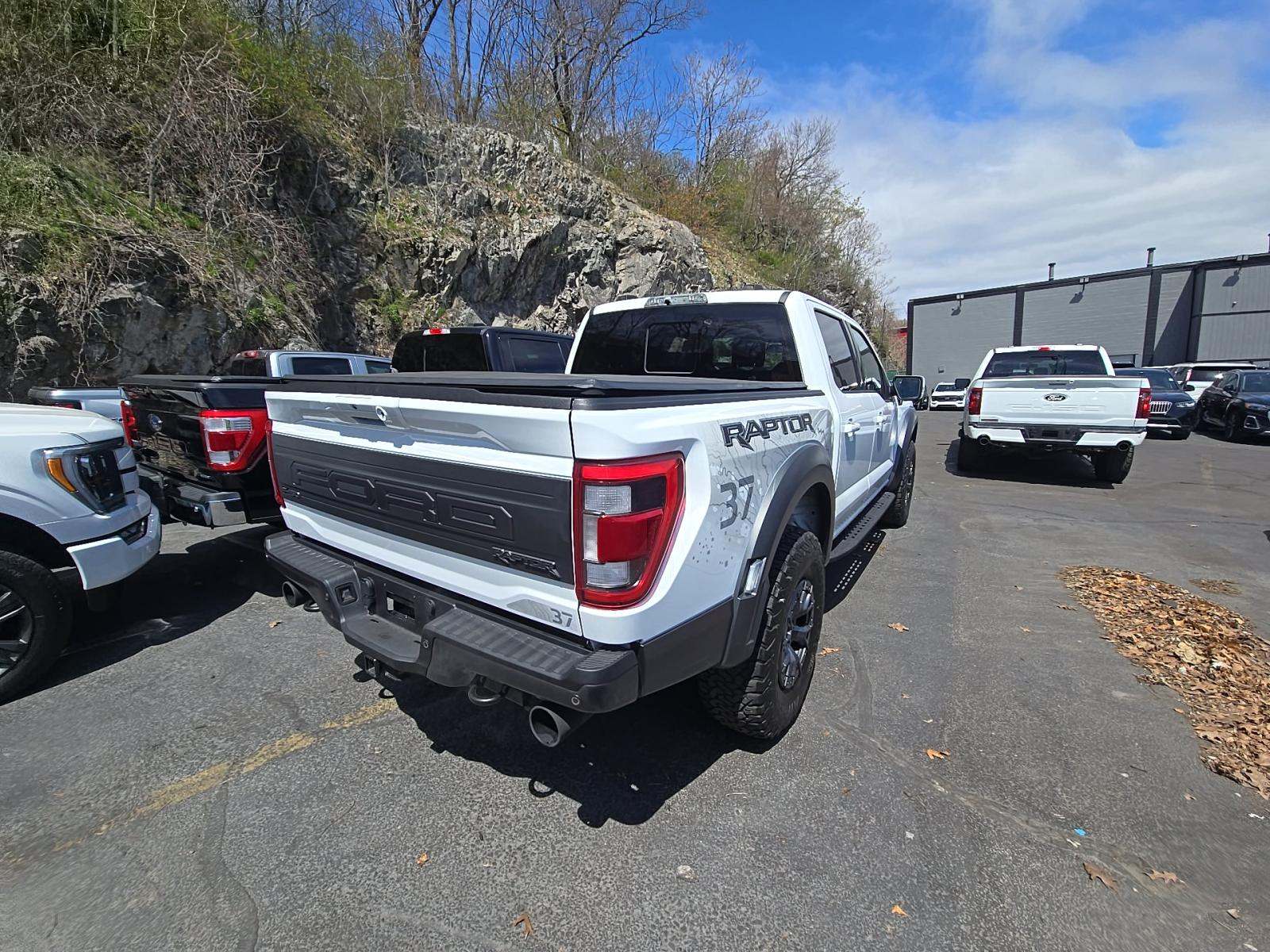 FORD F-150 - 3