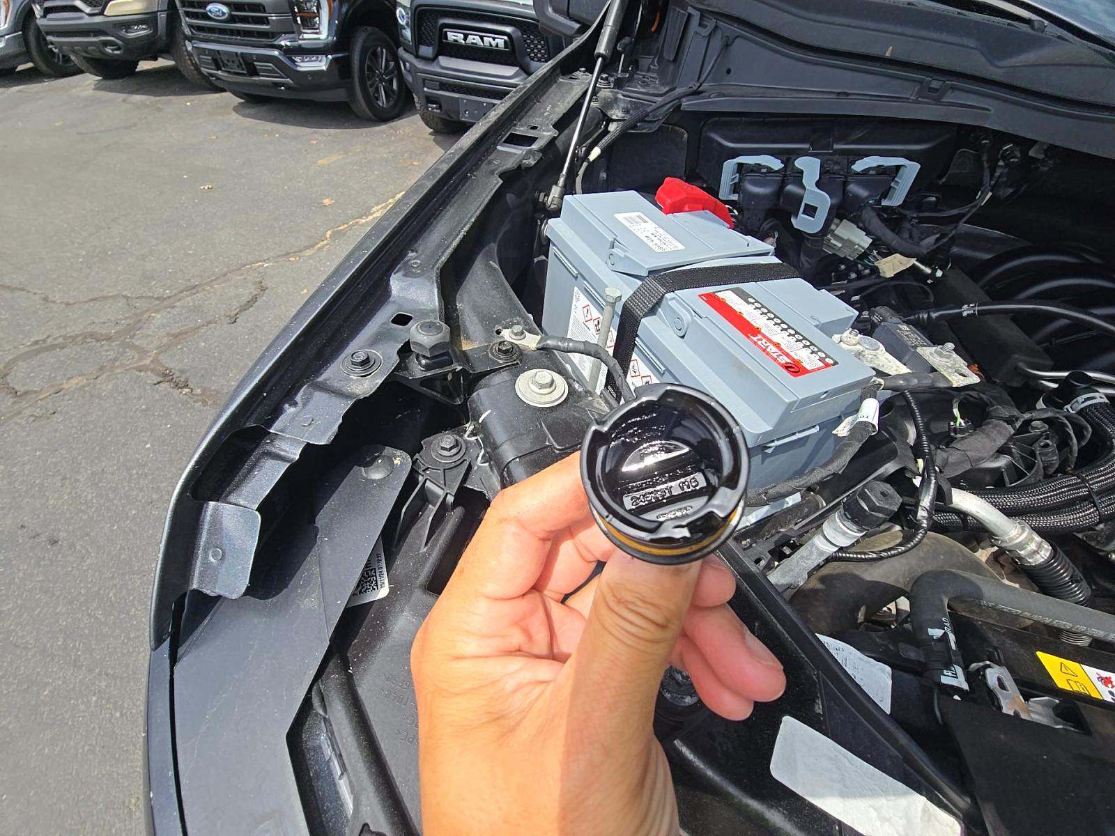 2024 Ford F-150 XLT AWD