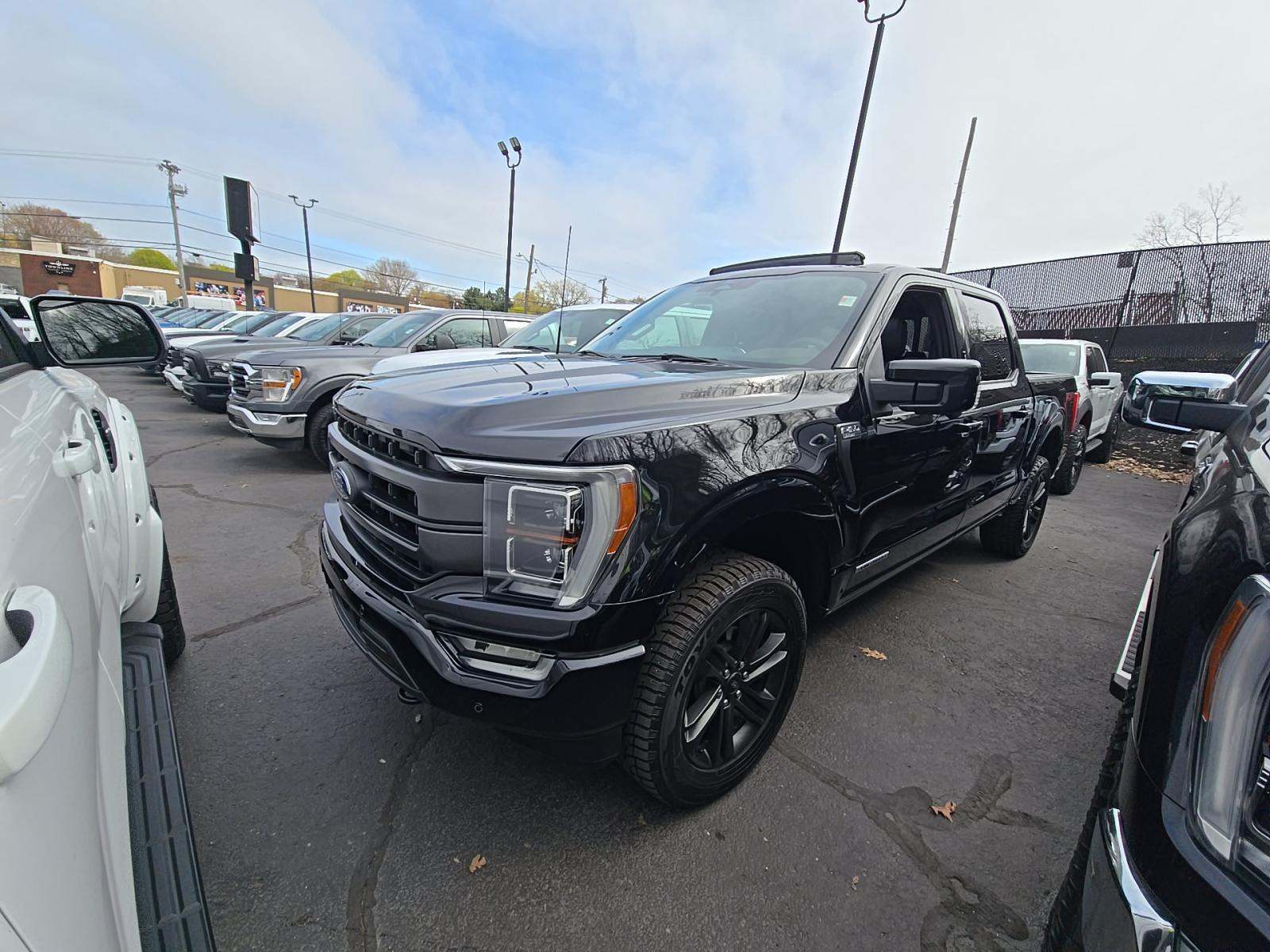 FORD F-150 - 1