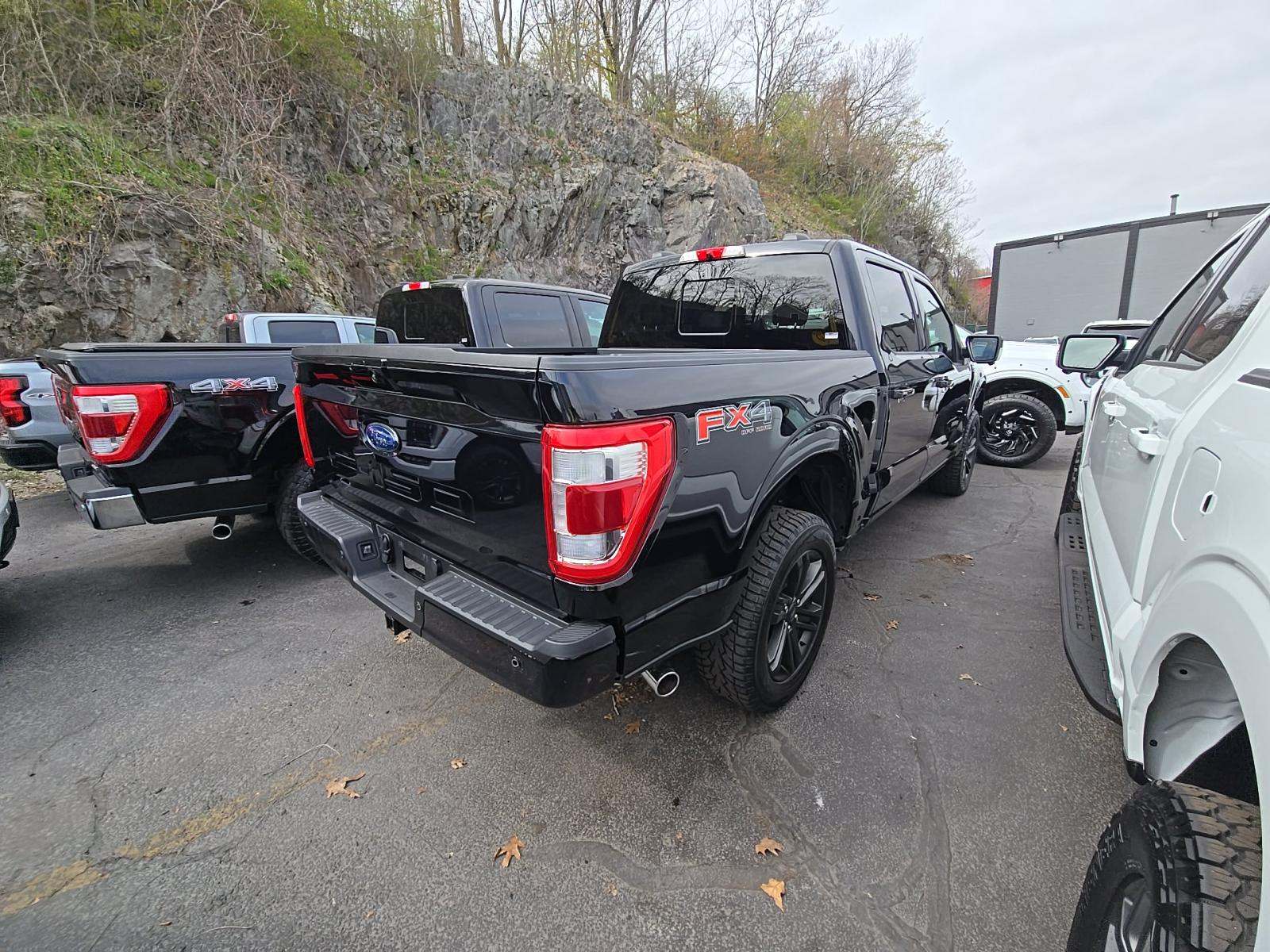 FORD F-150 - 3