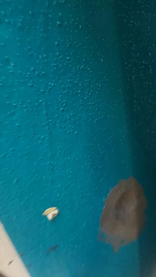 2010 Lexus RX RX 350 AWD