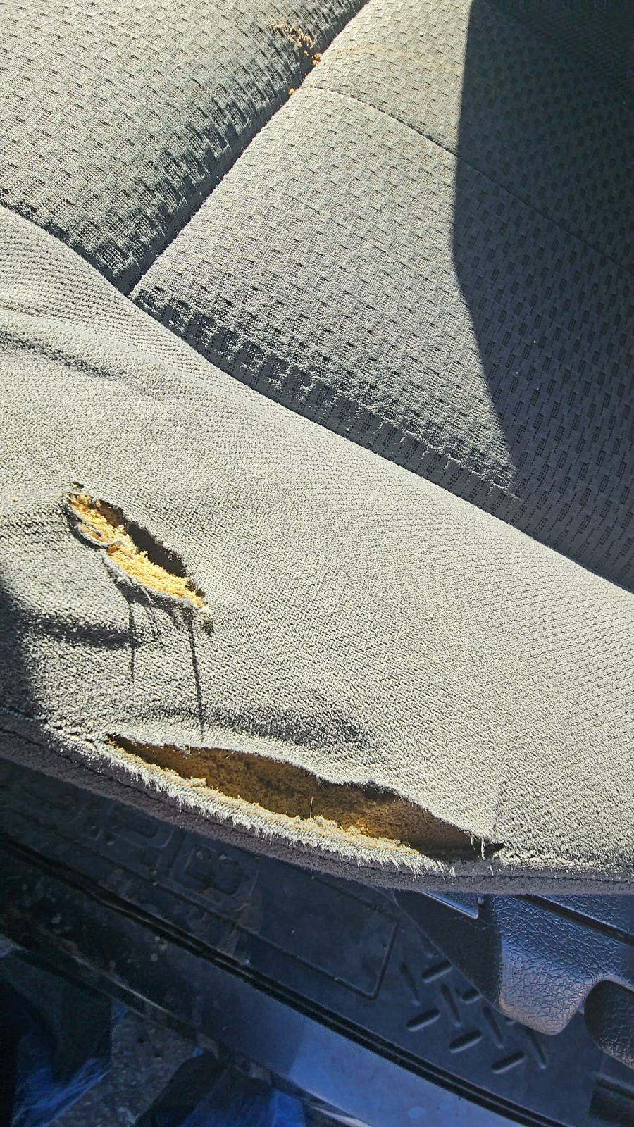 2012 Ford F-150 XLT AWD