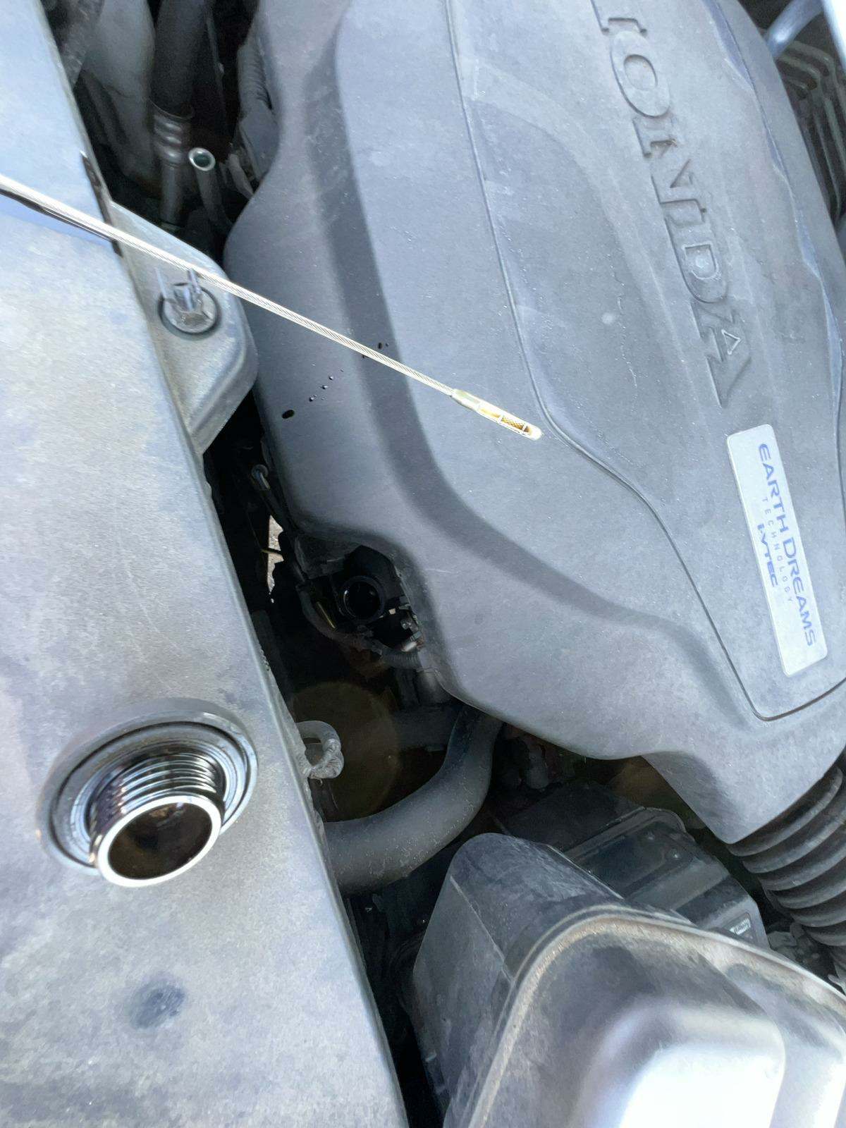 2019 Honda Pilot EX-L AWD