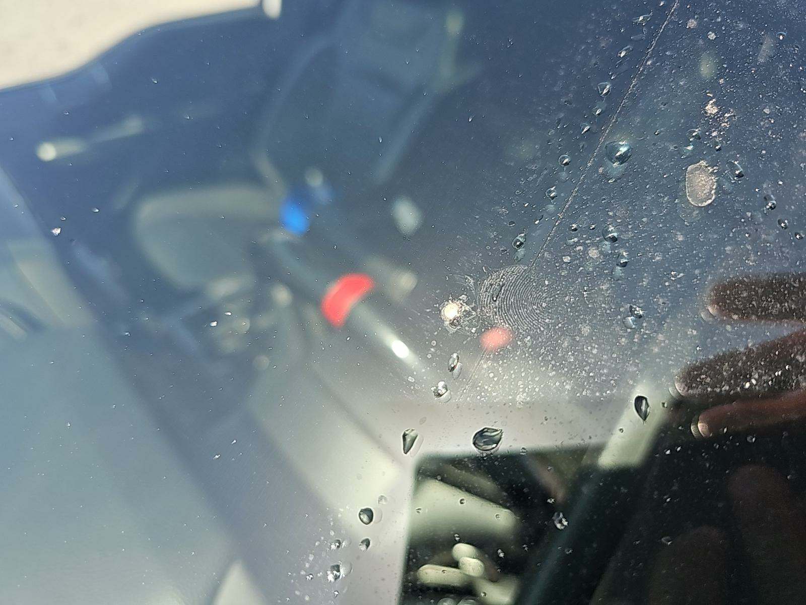 2019 Ford F-150 Raptor AWD