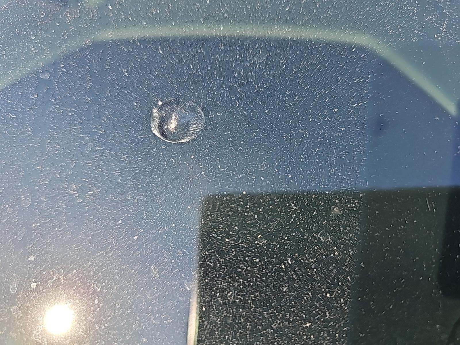 2023 Toyota Tundra Platinum RWD