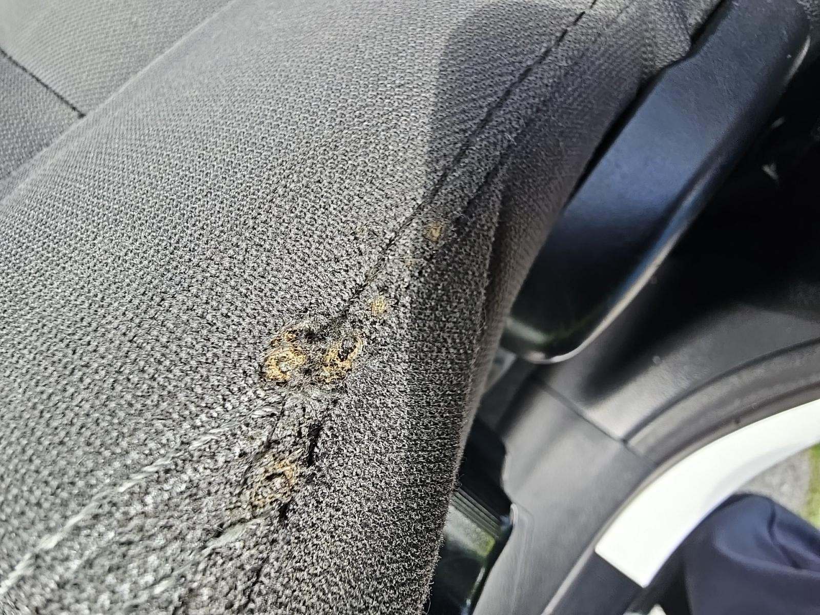 2019 Toyota Tacoma TRD Off-Road RWD