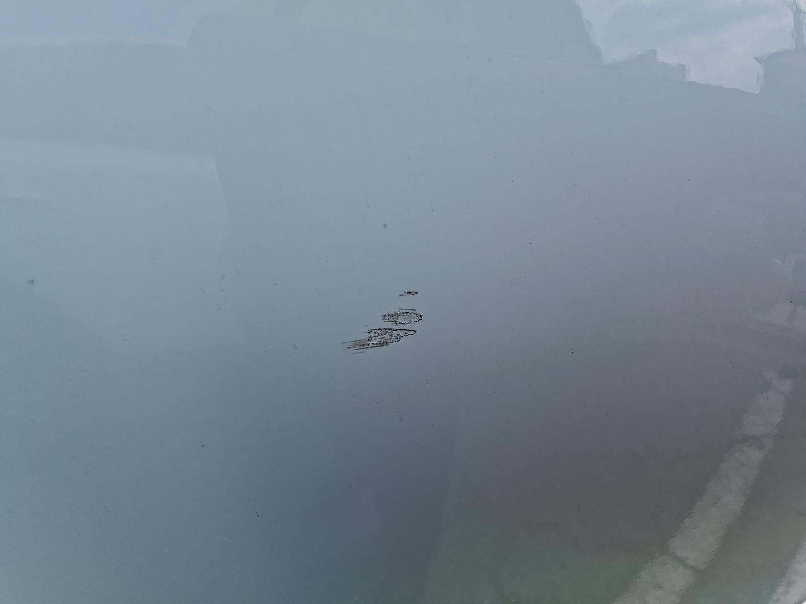 2019 Toyota Tacoma TRD Off-Road RWD