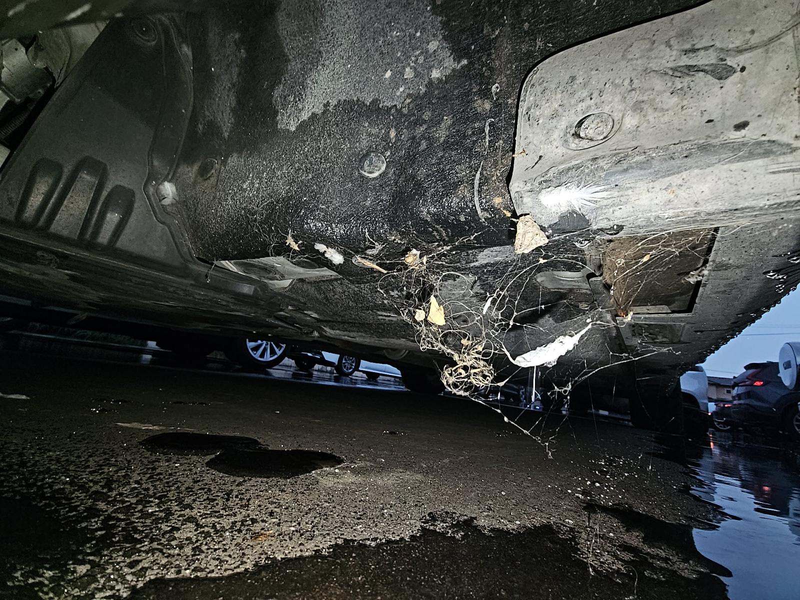 2024 Honda Accord LX FWD