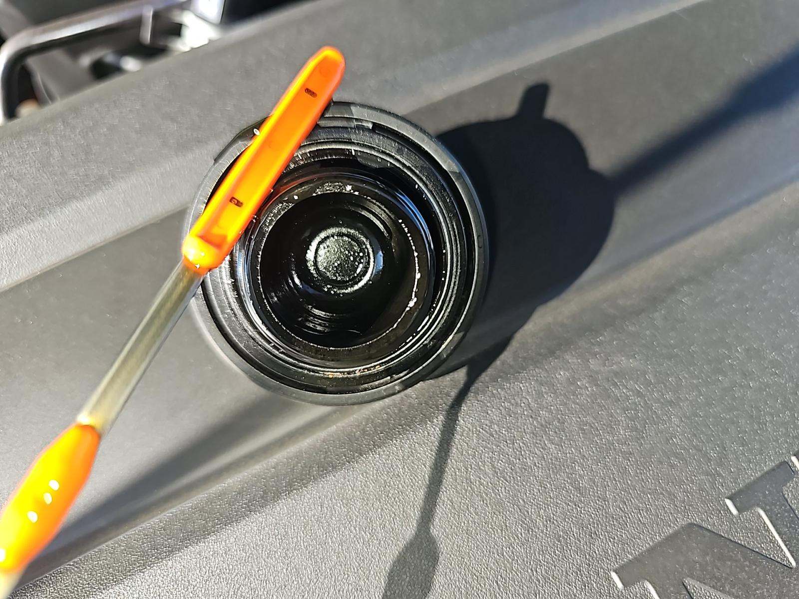 2024 Honda Accord Hybrid EX-L FWD