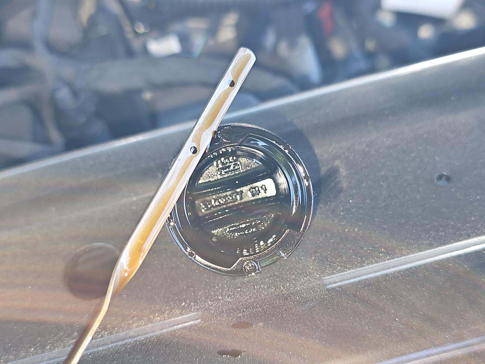 2025 Ford Mustang EcoBoost RWD