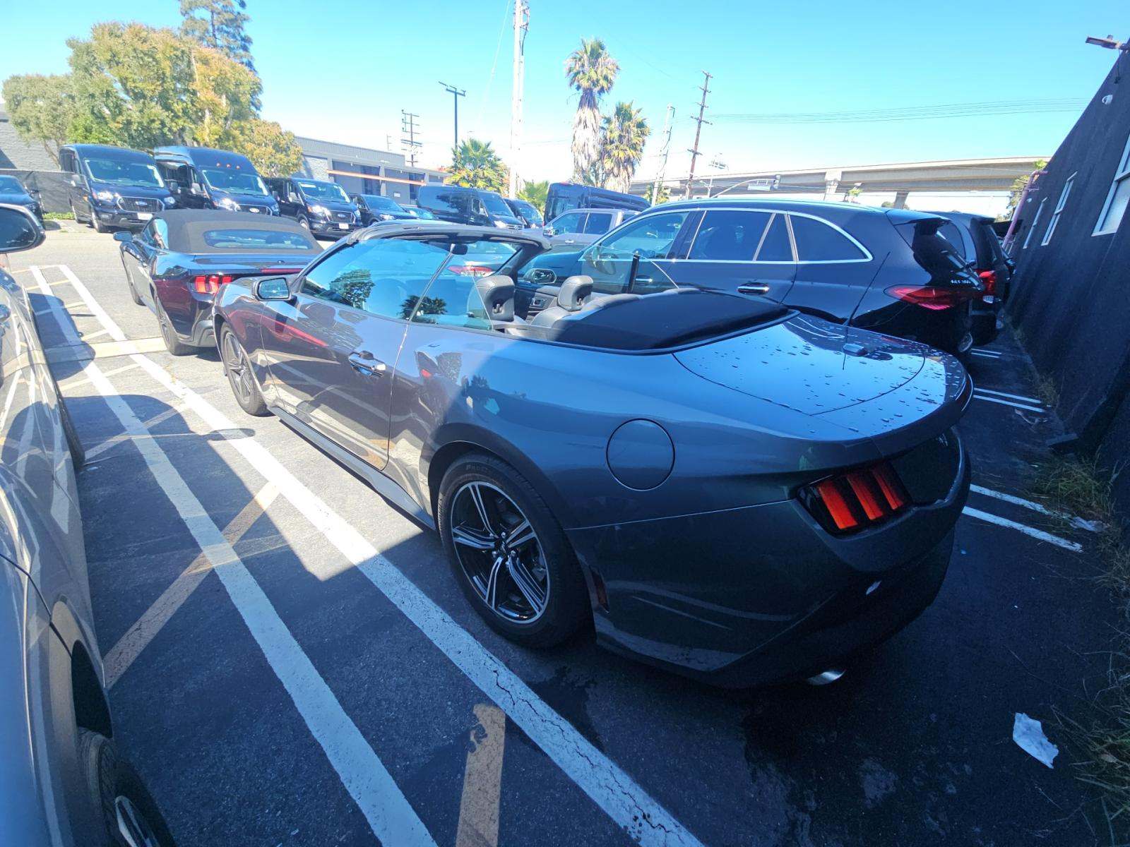 2025 Ford Mustang EcoBoost RWD