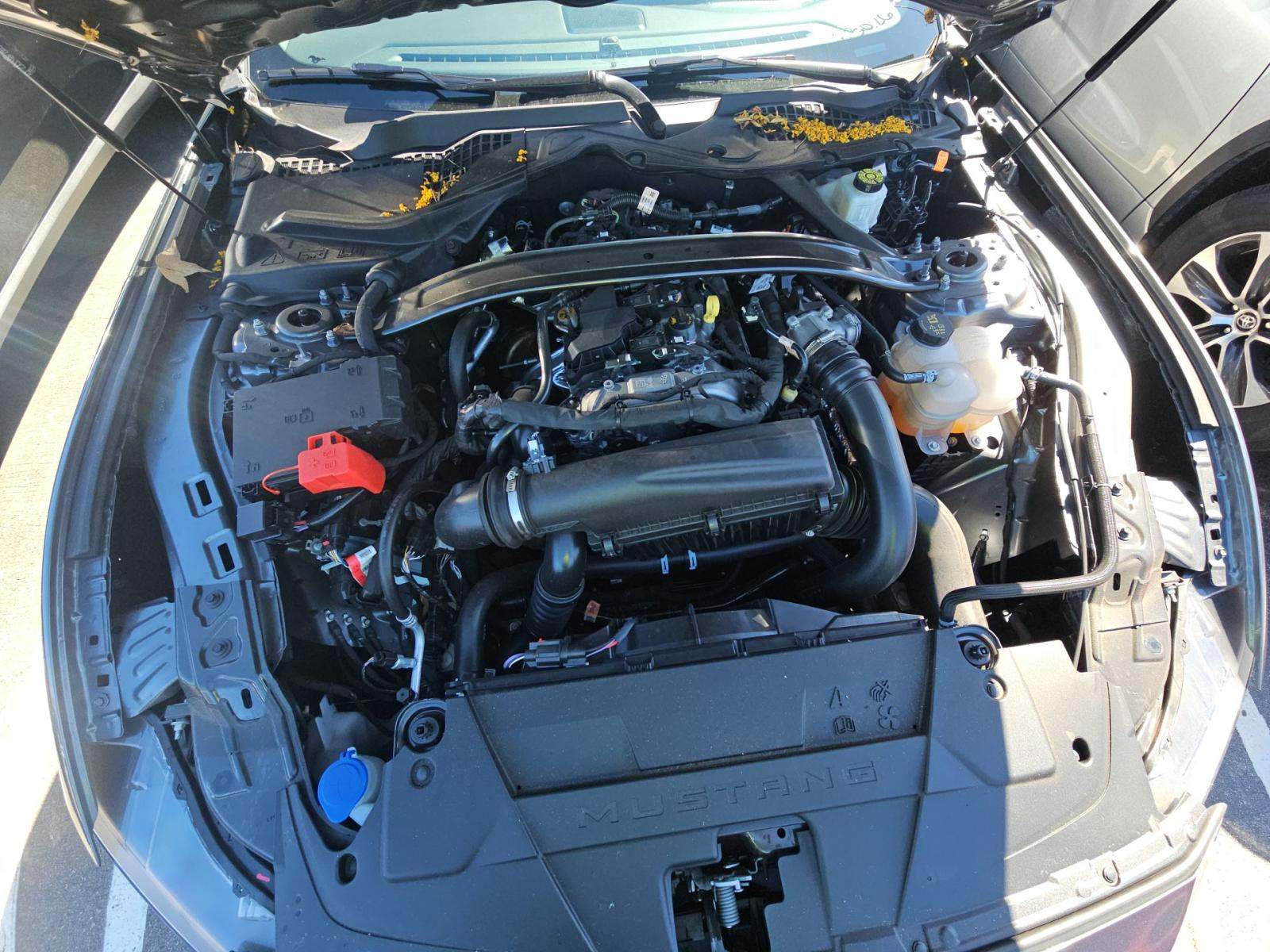 2025 Ford Mustang EcoBoost RWD