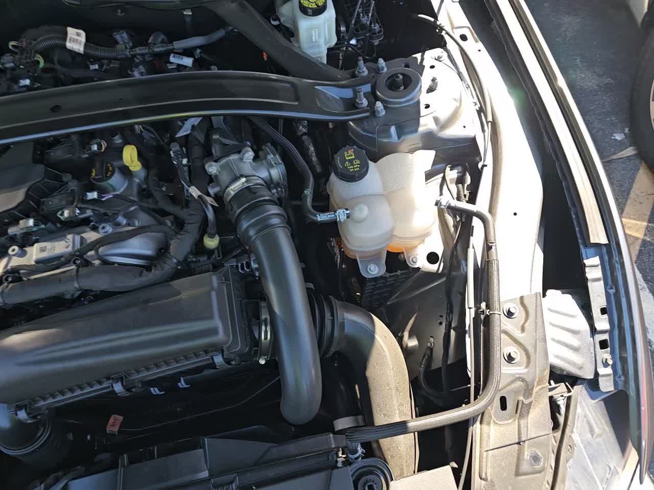 2025 Ford Mustang EcoBoost RWD