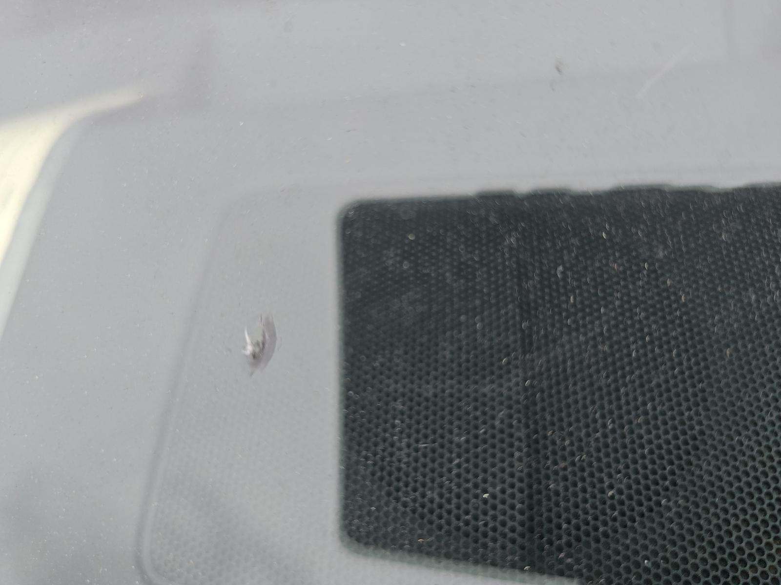 2019 Lexus IS IS 300 RWD