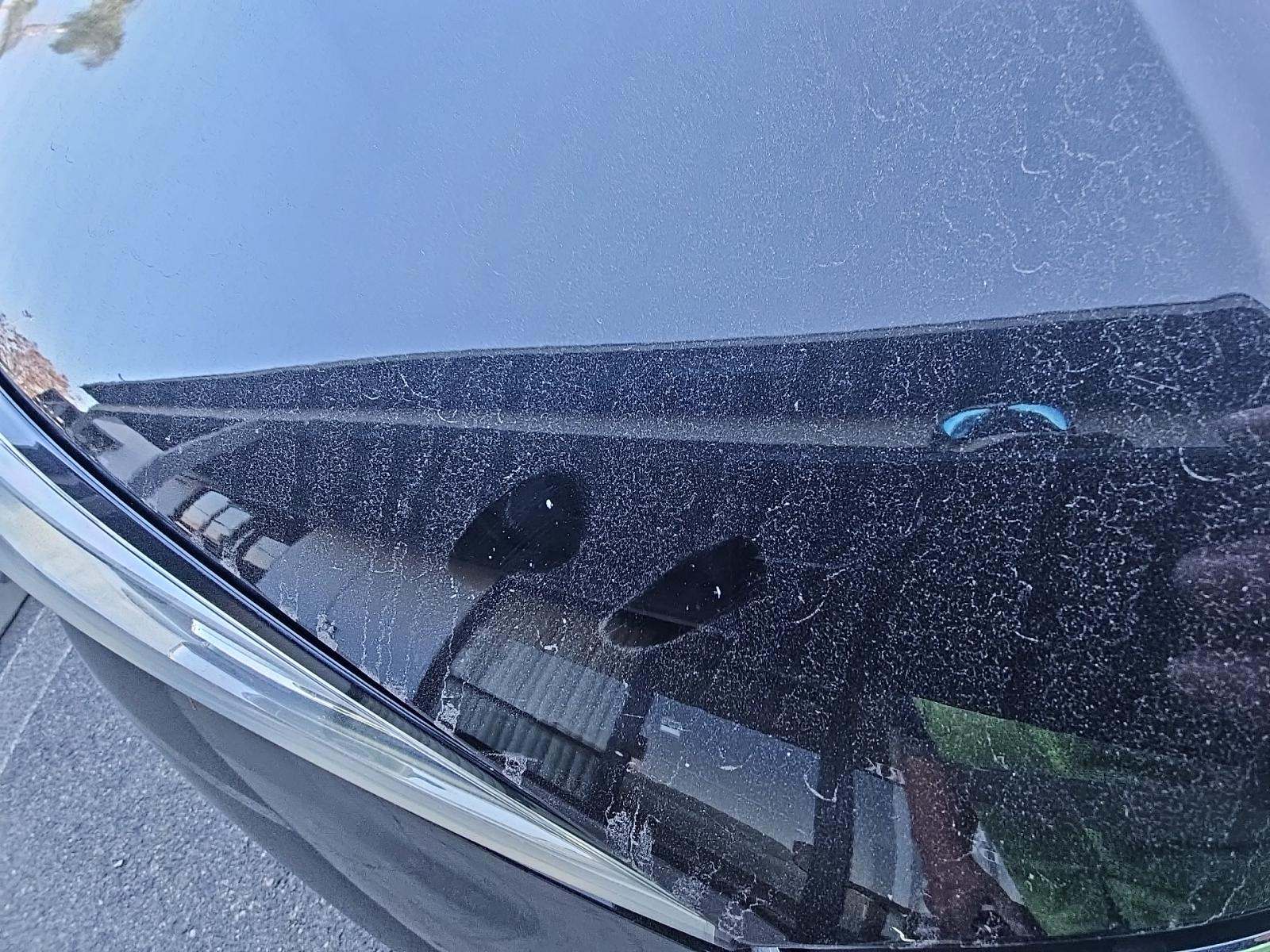 2020 BMW 3 Series 330i RWD