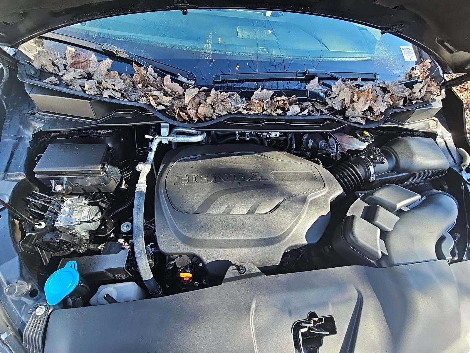 2024 Honda Odyssey Touring FWD