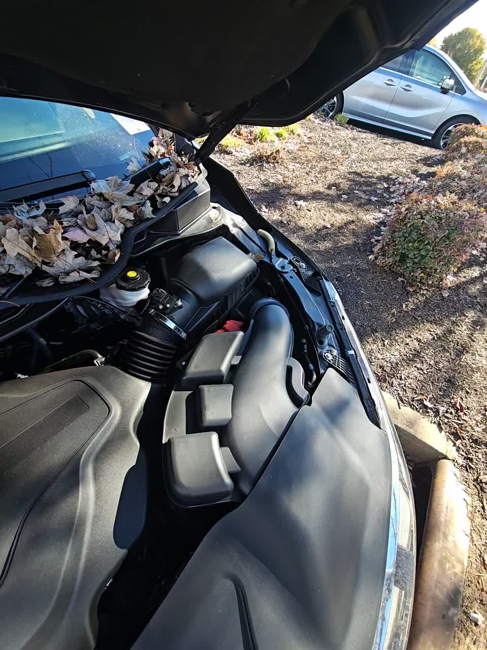 2024 Honda Odyssey Touring FWD