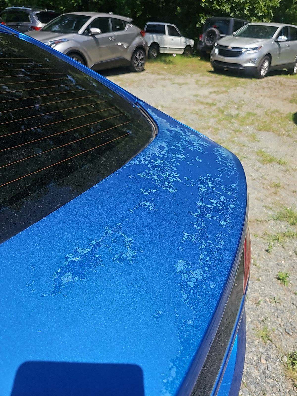 2018 Hyundai Ioniq Hybrid SEL FWD