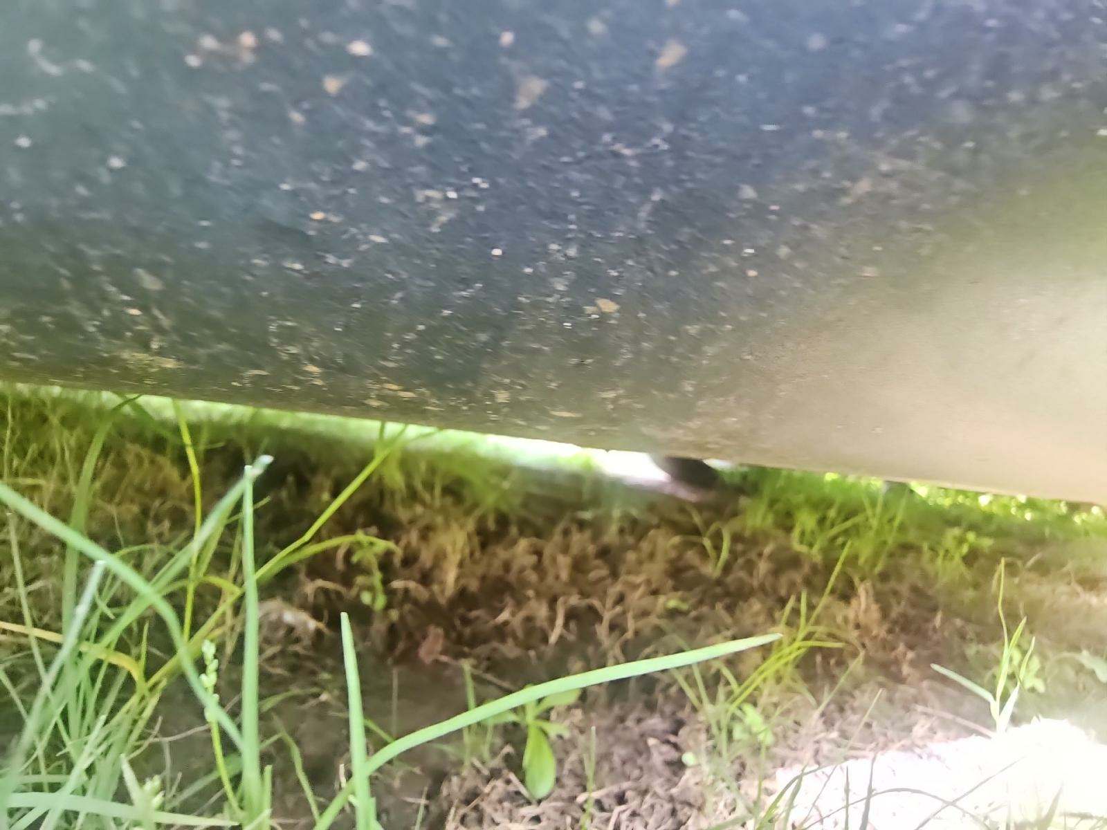 2010 Ford Mustang GT RWD