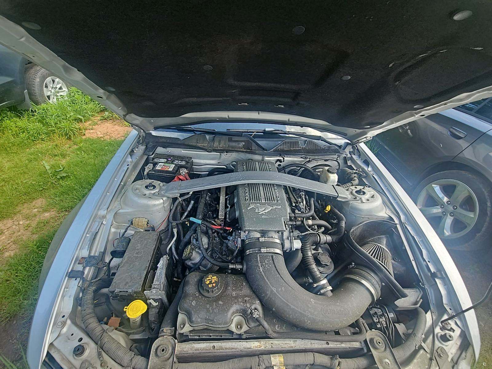 2010 Ford Mustang GT RWD