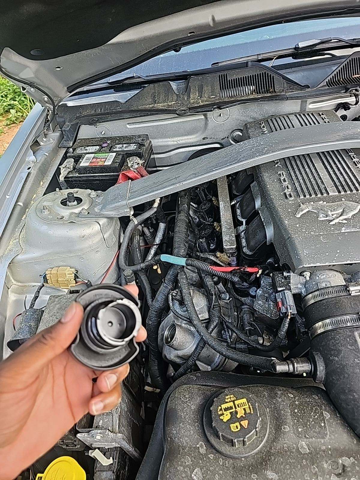 2010 Ford Mustang GT RWD