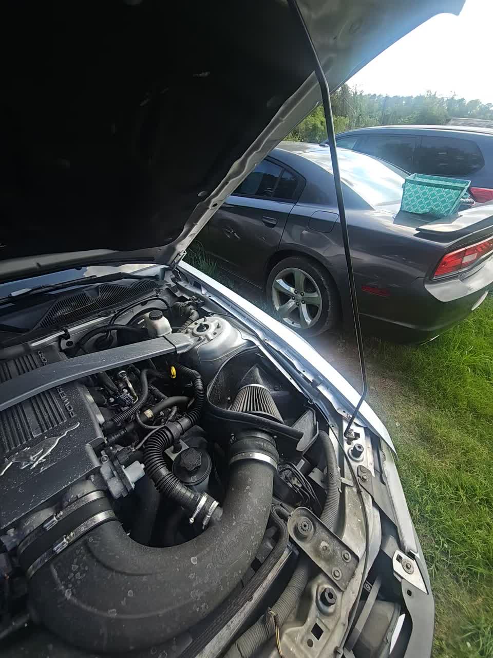 2010 Ford Mustang GT RWD