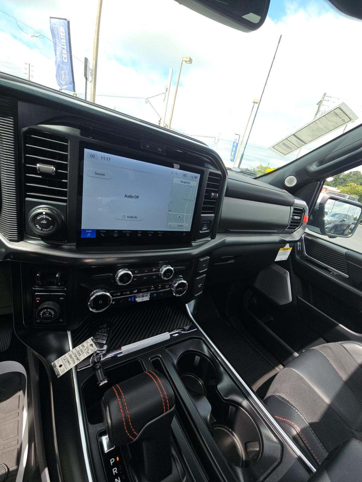 FORD F-150 - 10