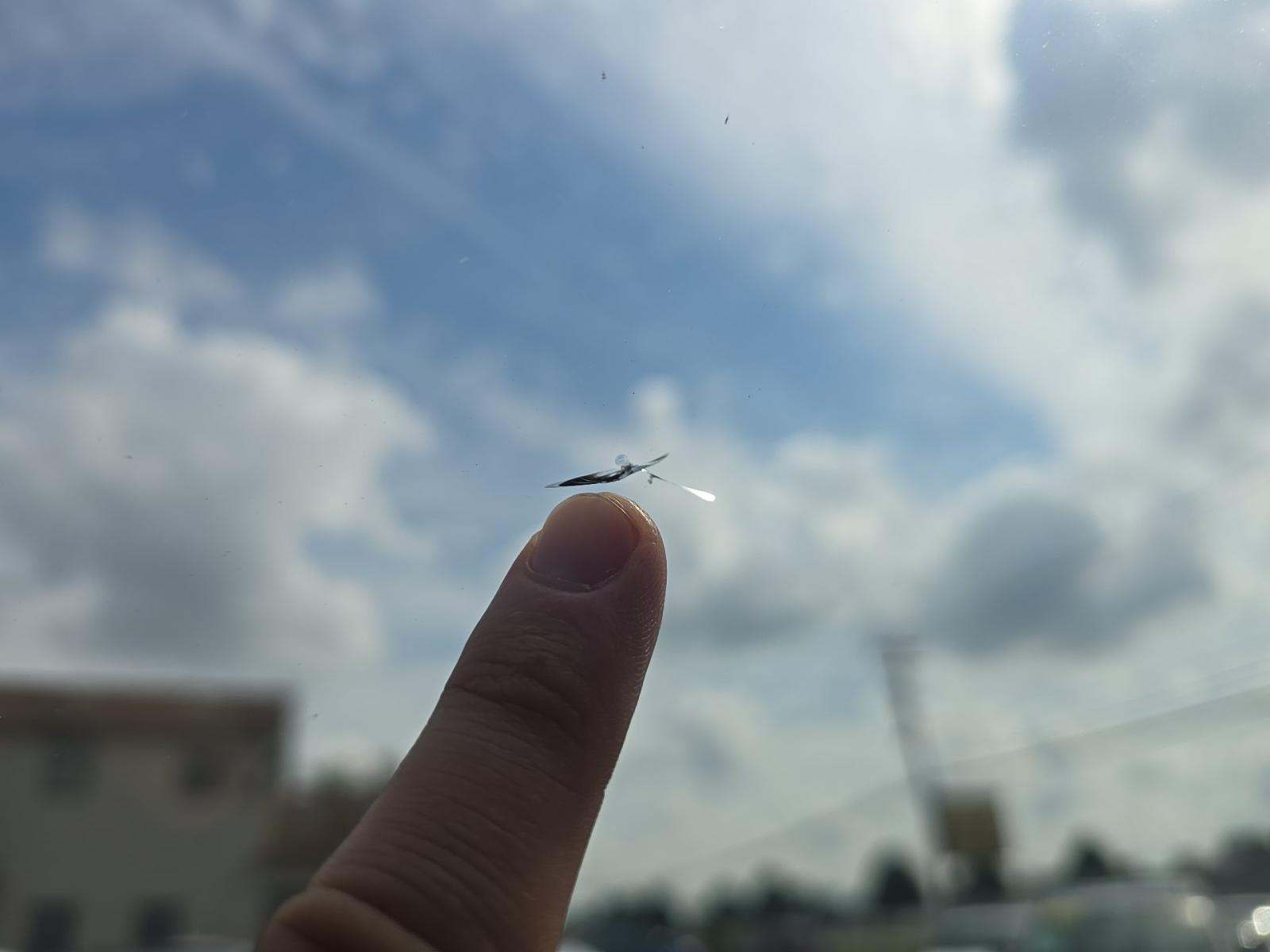 2019 Ford F-150 Raptor AWD