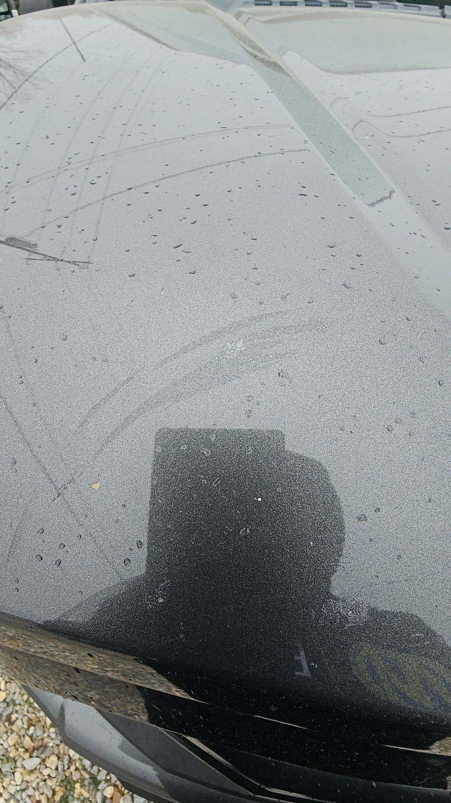 2016 Ford F-150 XLT RWD