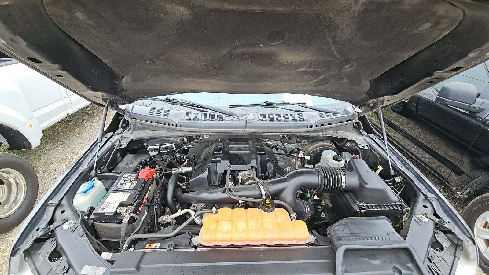 2016 Ford F-150 XLT RWD