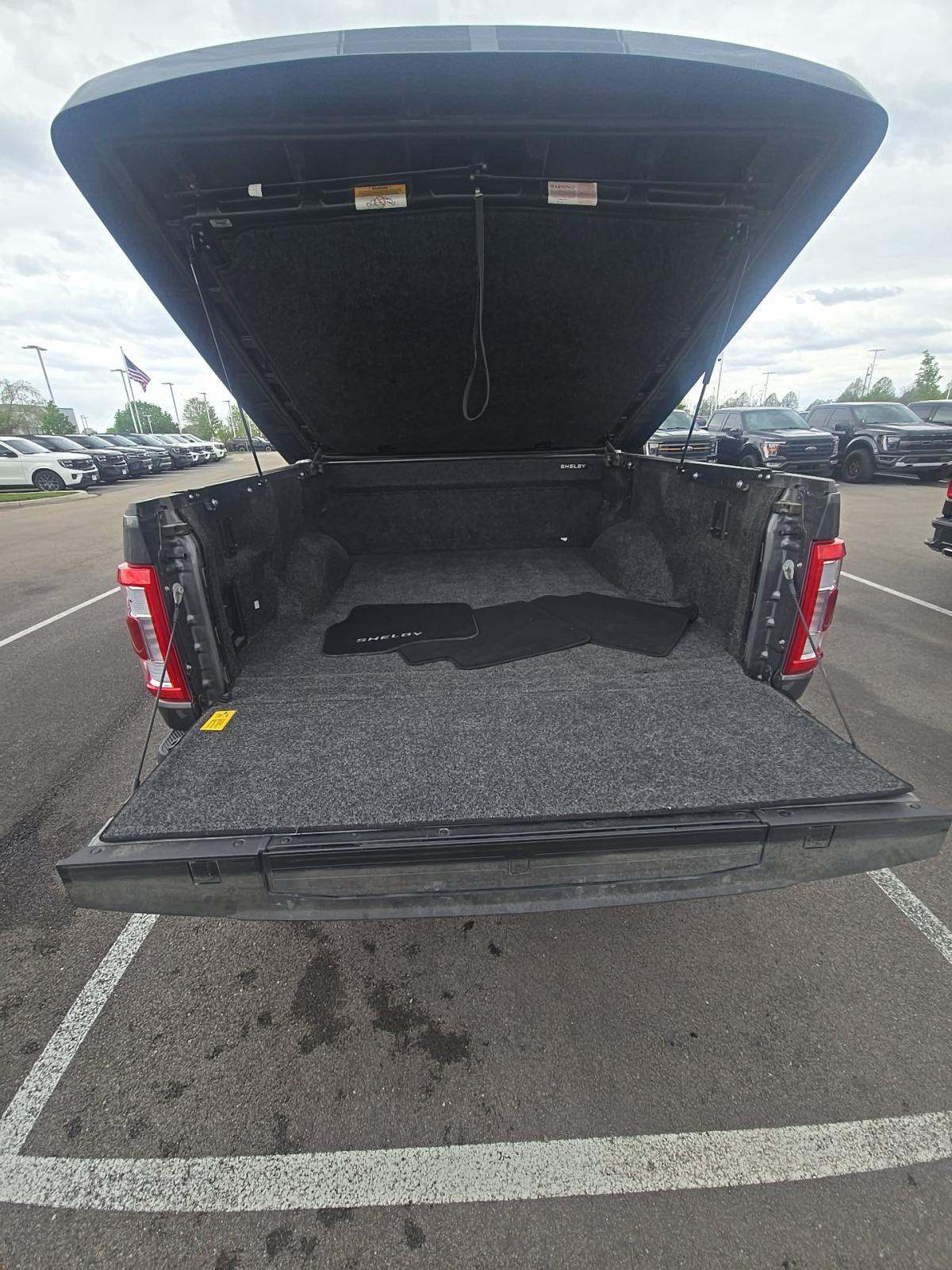 FORD F-150 - 10