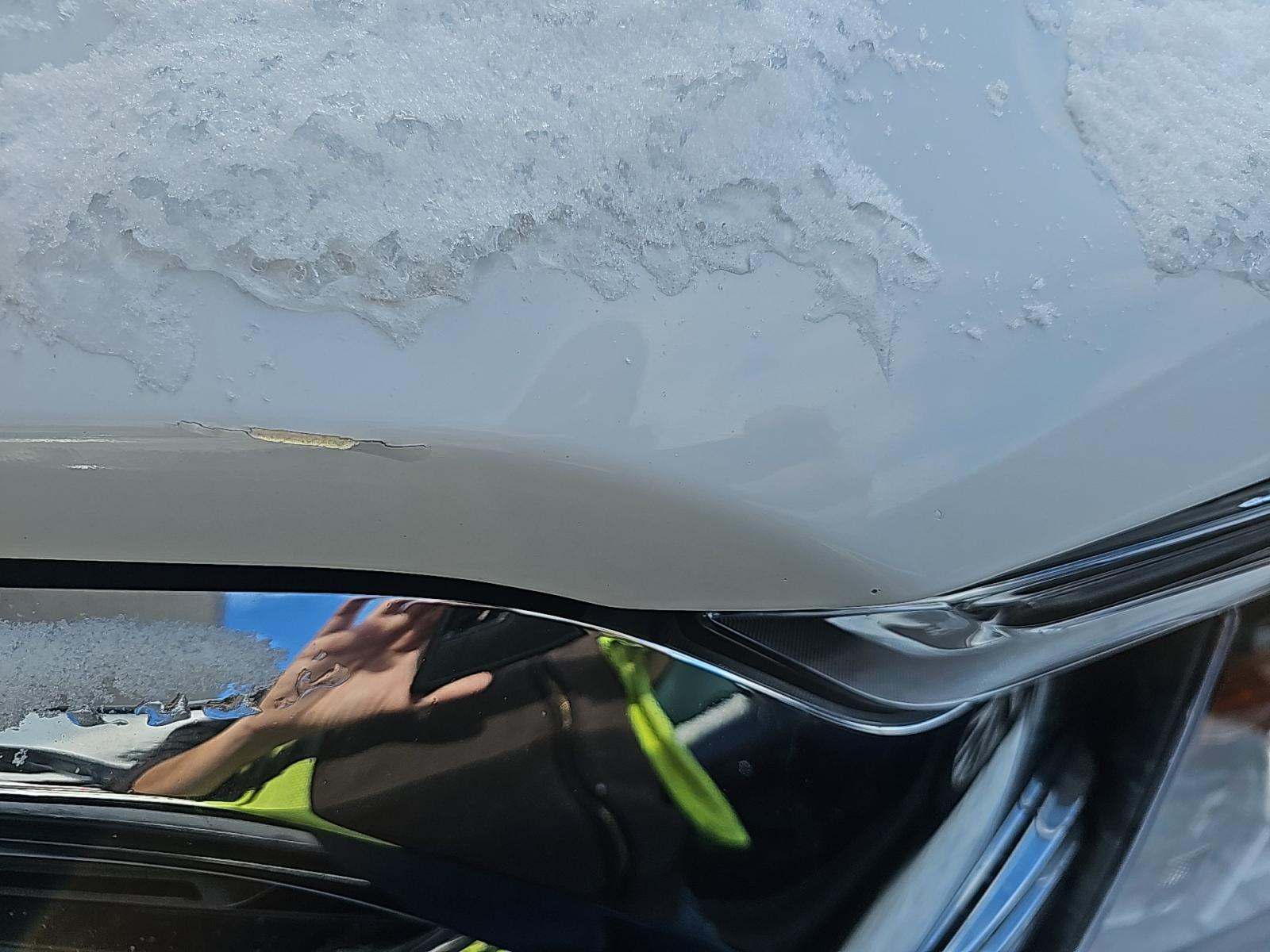 2021 Ford F-150 XLT AWD