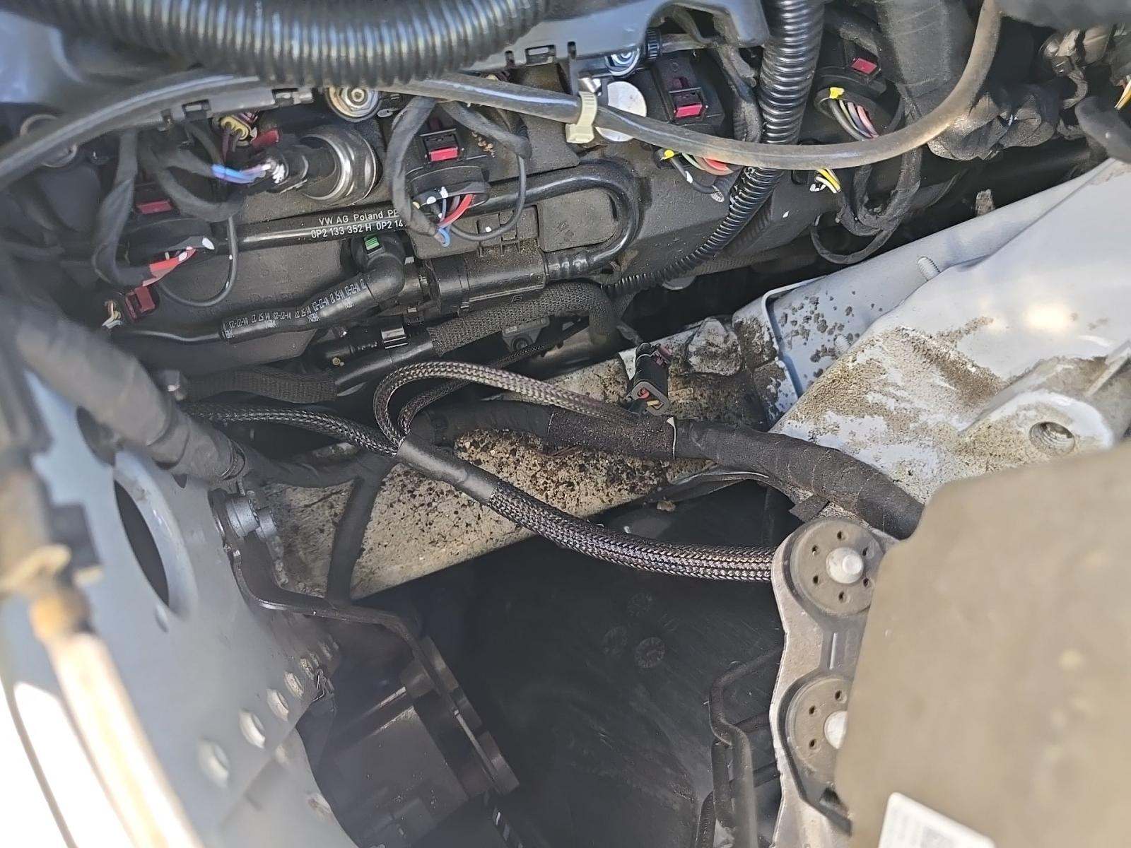 2024 Audi RS Q8 Base AWD