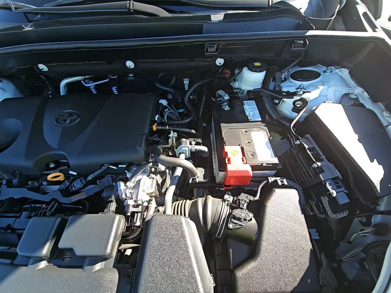 2023 Toyota RAV4 XLE FWD