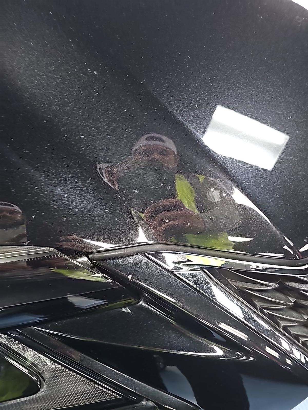 2019 Lexus GS GS 350 F SPORT RWD