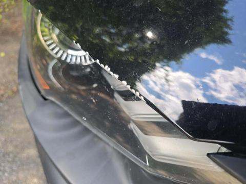 2019 Ford Mustang EcoBoost Premium RWD
