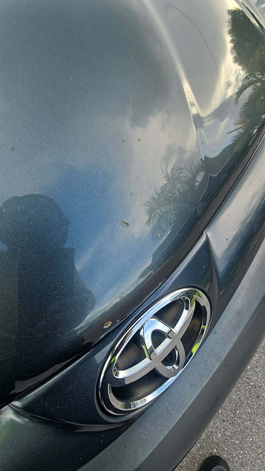 2010 Toyota Sienna LE FWD