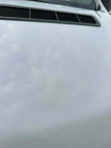 Zdjecie 31