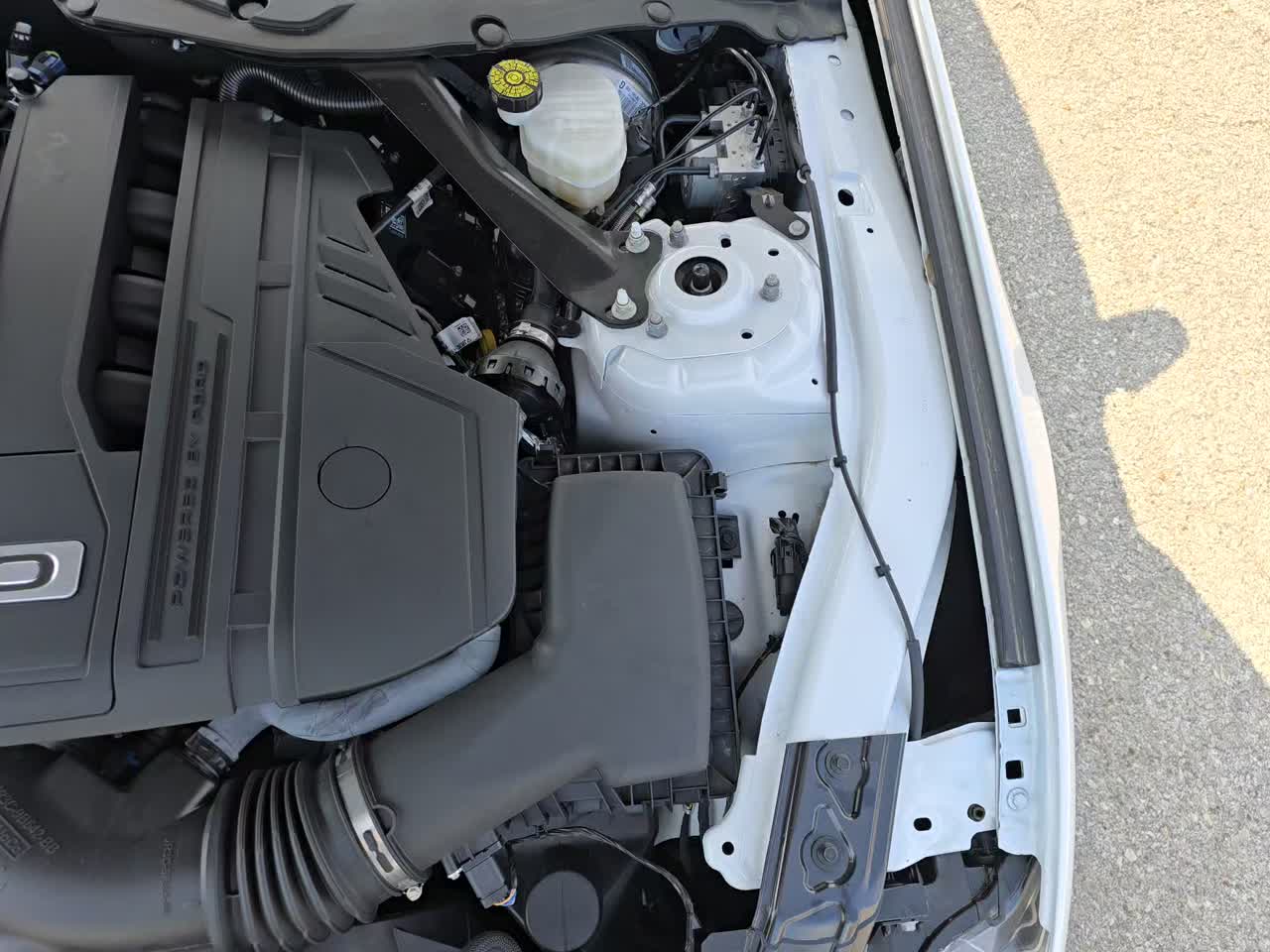 2022 Ford Mustang GT Premium RWD