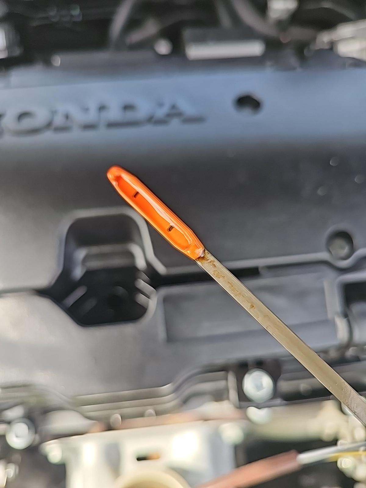 2023 Honda Civic Sport FWD